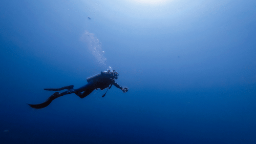 A view from below a water body of a person scuba diving above - Port Blair Scuba Diving Price