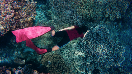 A person wearing a pink top and black bottoms is snorkelling near a vibrant coral reef in clear blue water.