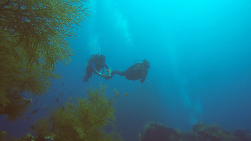 two people snorkeling in Port Blair