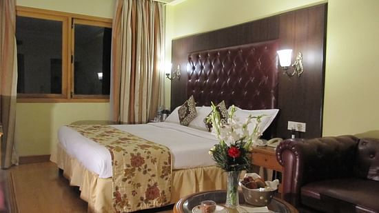 Superior Double King Size Hotel Ritz Plaza Amritsar