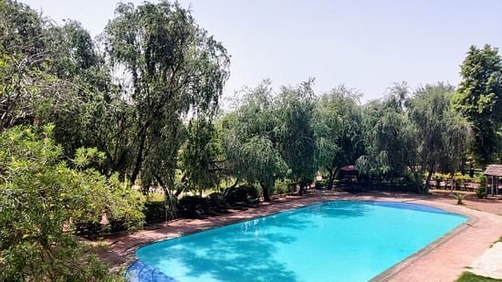 IMG 0676