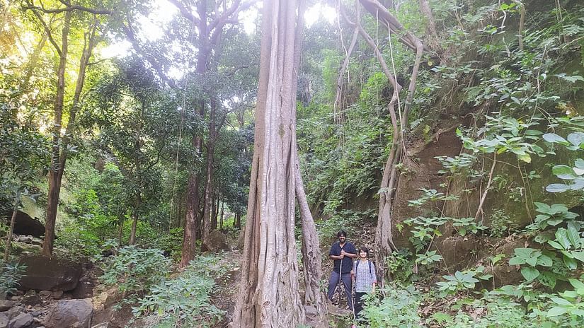 Let s Camp Tamia activity trekking