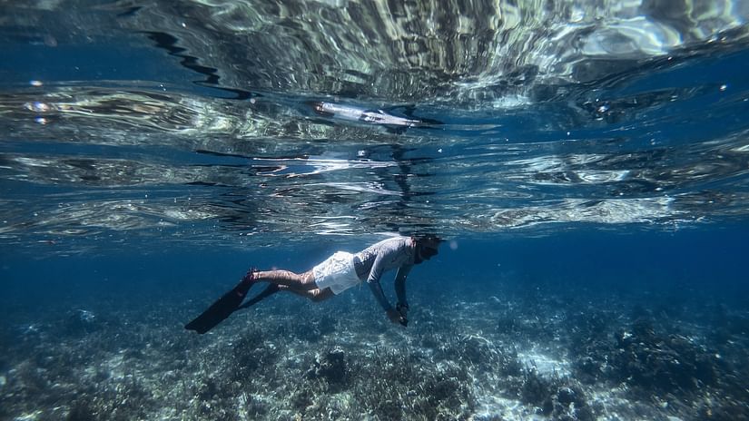 A wide side angle view of a person diving in the sea