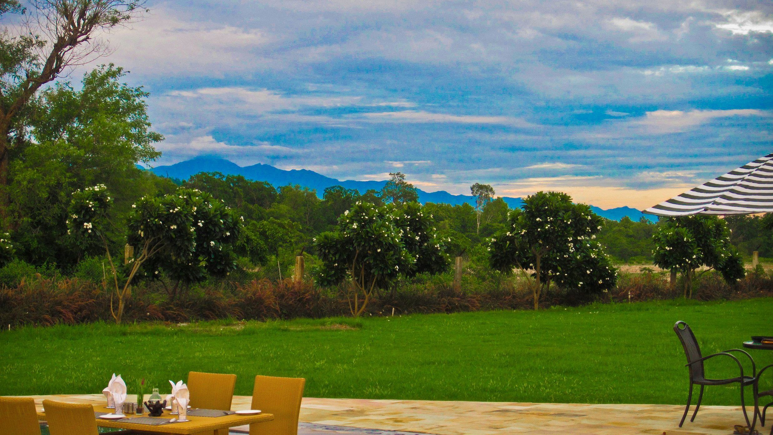 Water Dining at The Golden Tusk, Jim Corbett 