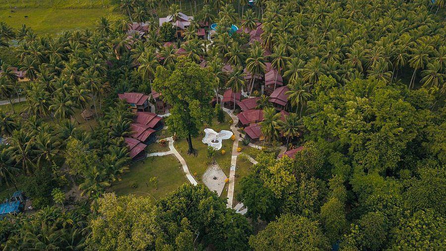 drone silver sand neil 1