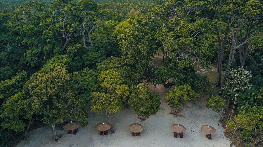 drone silver sand neil 2