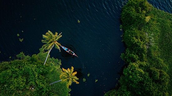 anantha-krishnan-87N0Pq3hgSE-unsplash