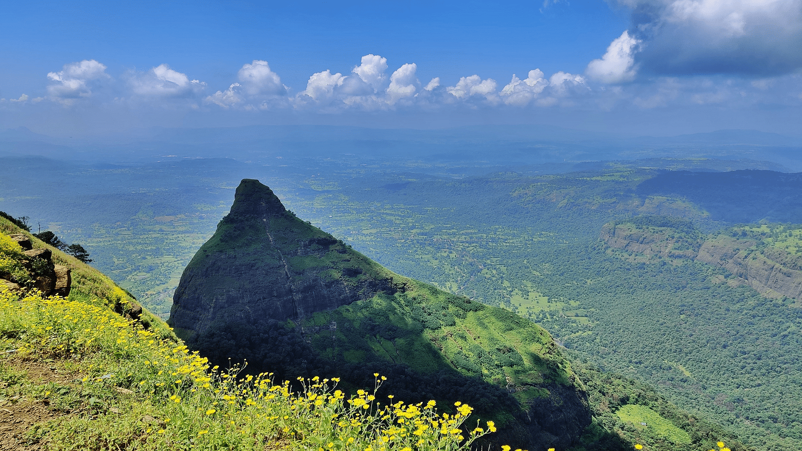A cliff overlooking the lush green fields below 