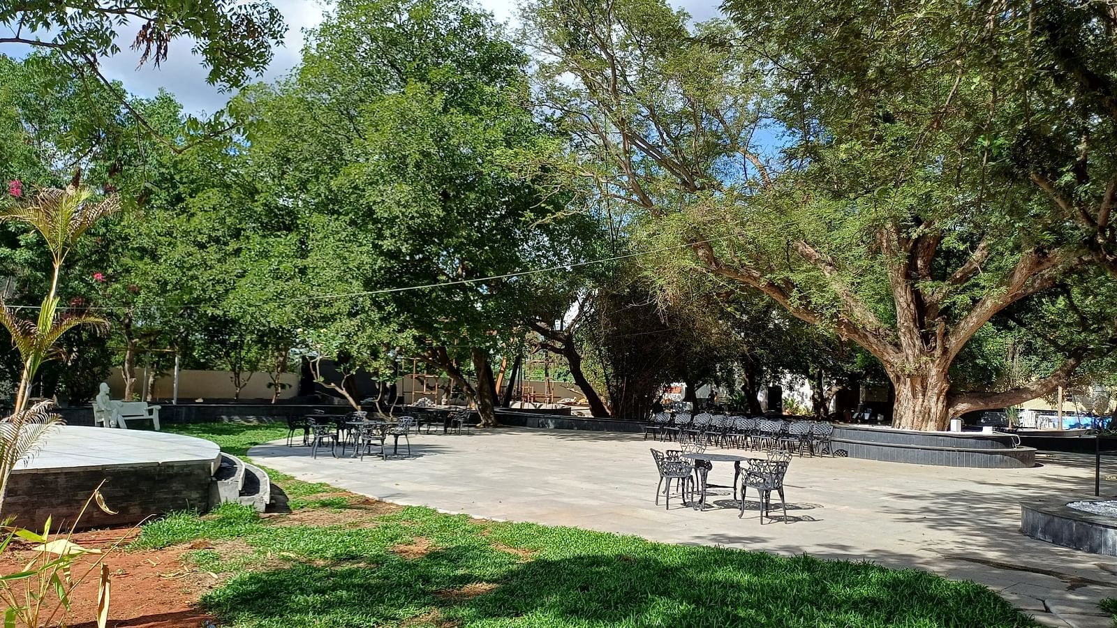 A lawn surrounded by trees