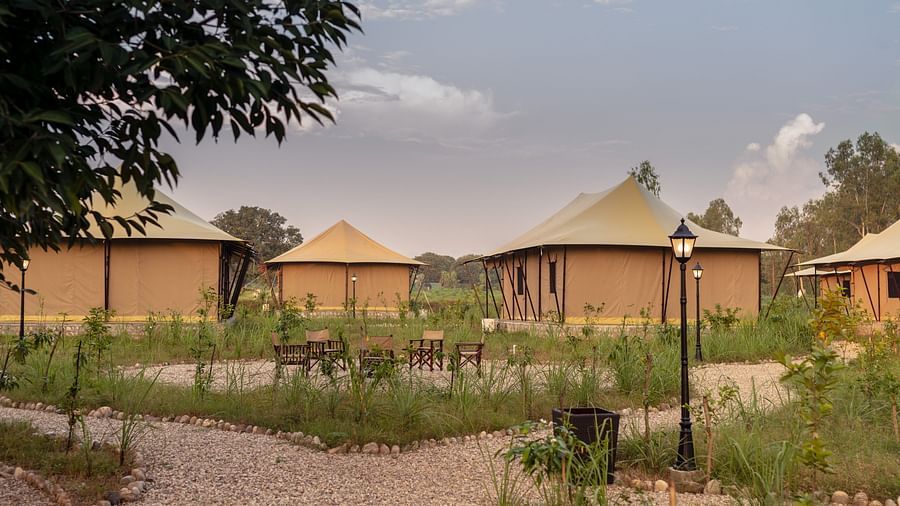facade image of the tents with surrounded by plants - Aalia Jungle Resort & Spa