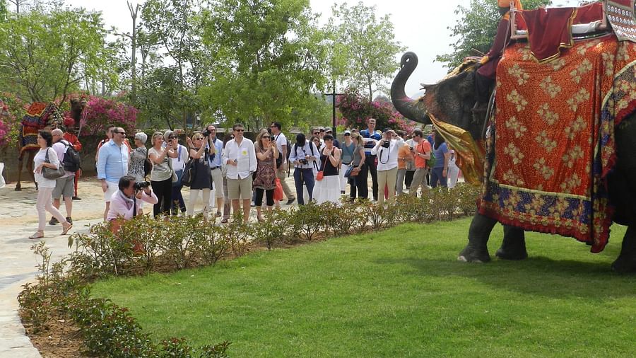 Guests gather outdoors for a royal welcome, with a traditionally decorated elephant - Khas Bagh, Jaipur.