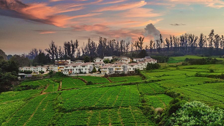 Aerial view of Mango Hill Shola, Ooty, nestled among tea plantations and hills, with the resort blending into the natural landscape.