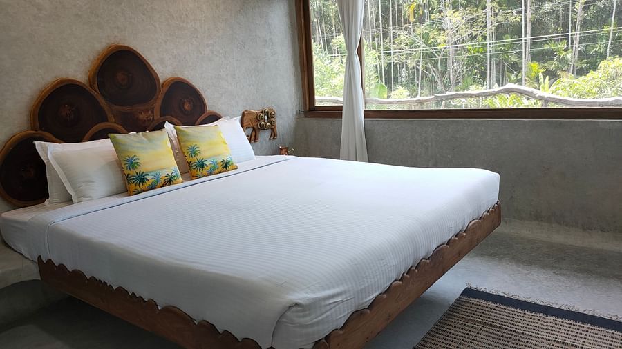 Yellowfin-1-Spacious 250 sq. ft. Deluxe Yellowfin Room offering comfort for up to 2 guests.