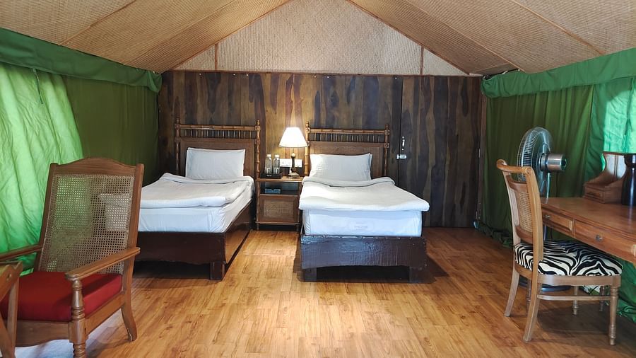 a tent with two single beds and workdesks - The Jamoon, Corbett