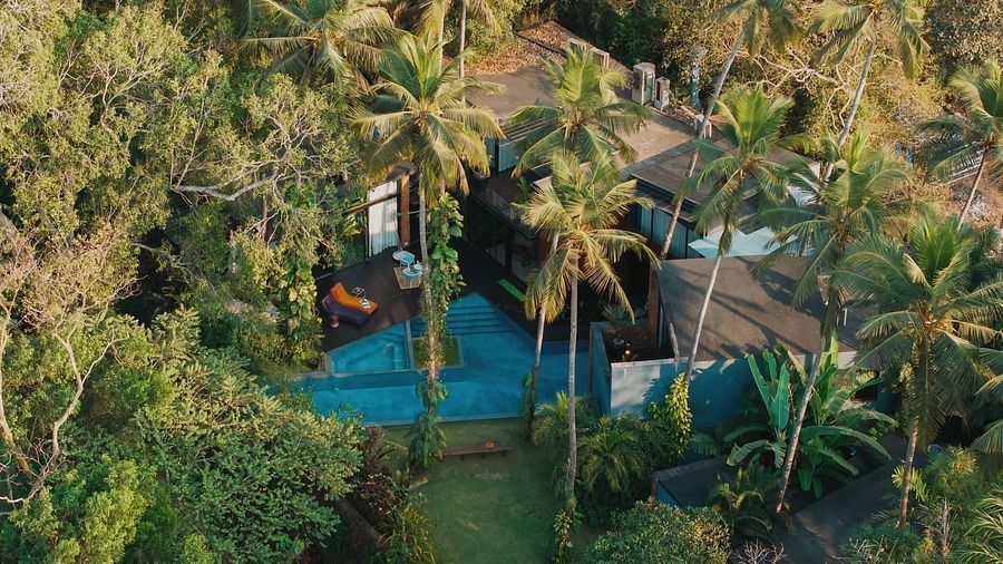  A swimming pool surrounded by lush greenery and tropical plants.