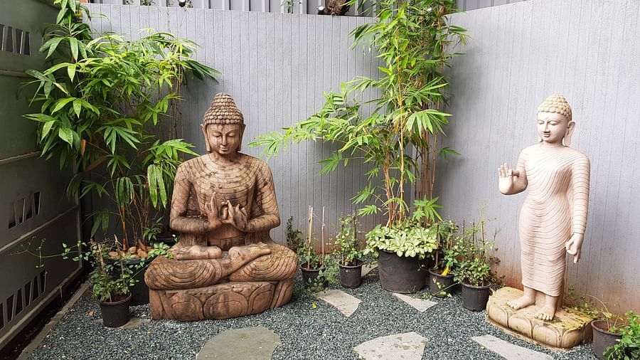 Andheri East Hotel, Dragonfly Hotel - Art Hotel in Andheri