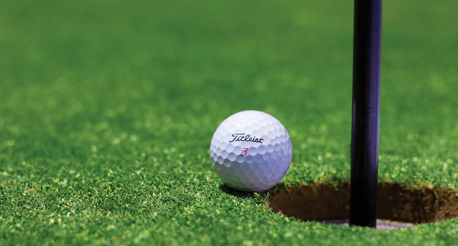 An image of a golf course with a golf ball near the goal