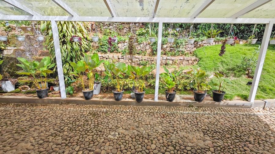 an image of an outdoor space with pebble stone flooring and plants - Ibex Stays & Trails, Valparai (Mistly)