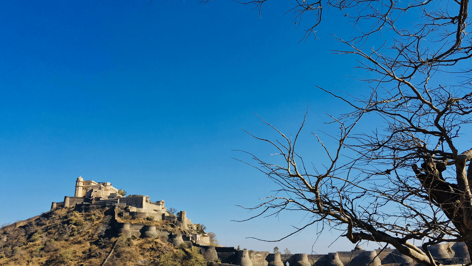 A fortress sits atop a hill against a vibrant blue sky with a few bare trees in the foreground.