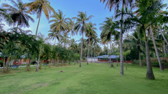 Green gardens image - Ibex River Resort, Pollachi