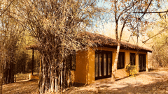 20180313 105919269 iOS