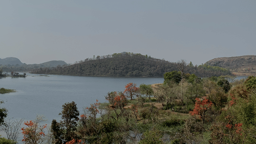 A calm lake with tree-covered hills in the background. The trees in the foreground have beautiful red blossoms.