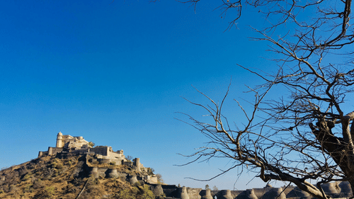 A fortress sits atop a hill against a vibrant blue sky with a few bare trees in the foreground.