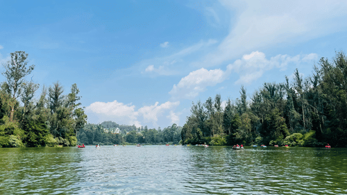 A lake with trees lining the shores and a clear blue sky reflecting on the water.