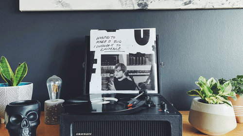 A radio surrounded by small plants and a portrait picture kept on iy