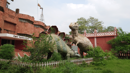 dinosaur models near the entrance of a children's museum