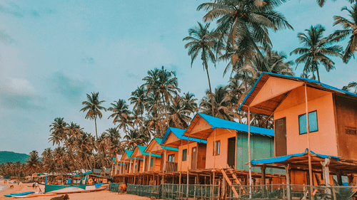 rows of shacks and trees at a beach