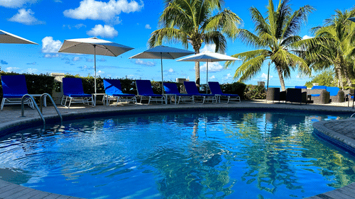 Outdoor swimming pool surrounded by lounge chairs and umbrellas with palm trees in the background at The Soco Hotel.