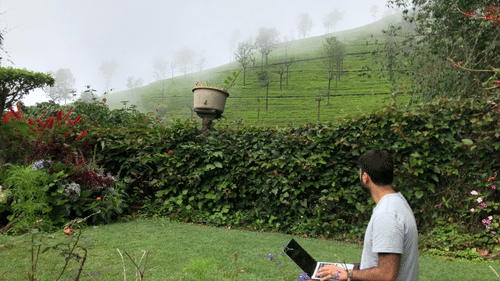 a person sitting on a grassy lawn with views of the tea plantations in the distance during daytime