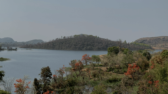 A calm lake with tree-covered hills in the background. The trees in the foreground have beautiful red blossoms.
