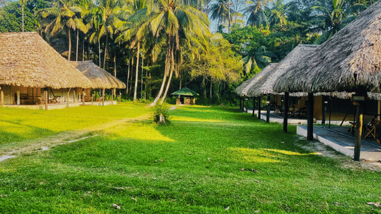 Tents at Barefoot at Havelock facing a verdant lawn with tropical trees under a clear blue sky on a sunny day