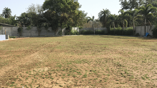 A view of the lawn area that can be used for as wedding venues in Daman, with trees and a cement wall in the distance and blue sky in the background.