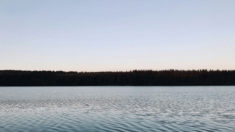 A view of a lake with waves on the waterbody and a forest cover in the distance.