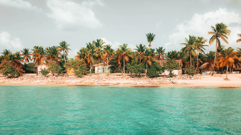 jean-estrella- XOpGfUkjhs-unsplash