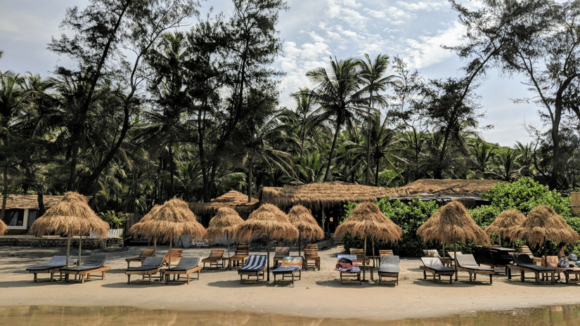 Thatched beach umbrellas and sunbeds line a peaceful tropical shore backed by lush palm trees.