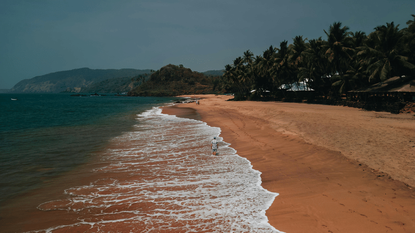 A long, sandy beach lined with palm trees under a moody sky, with gentle waves washing onto the shore near green hills.