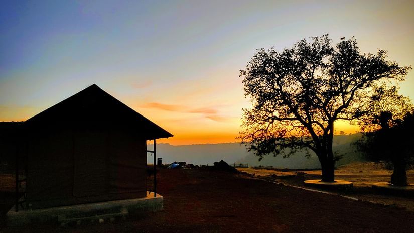 Let s Camp Tamia Standard Tent Sunrise