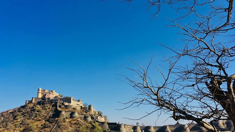 A fortress ruin perched on a rocky hill, with a bare tree in the foreground and a clear blue sky above.