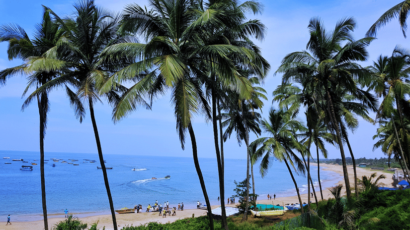 A beach with coconut trees and Arabian Sea in the background