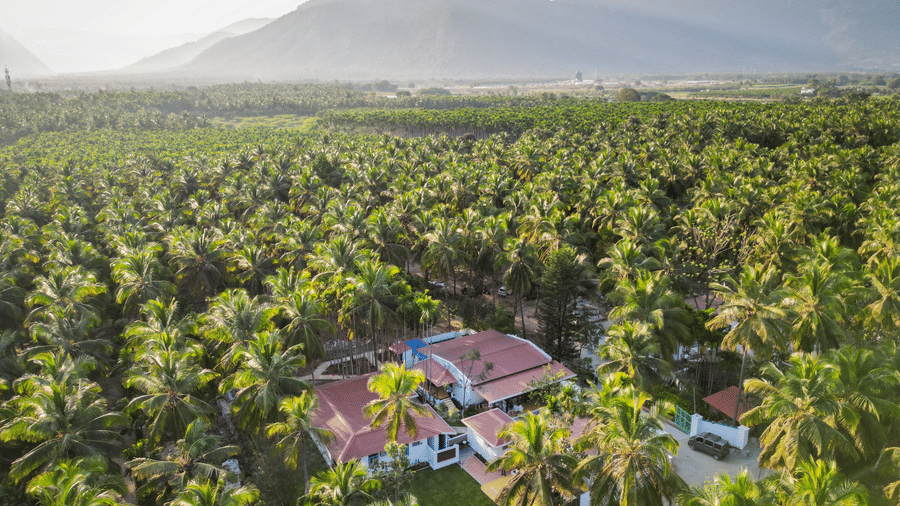 Drone shot of the white resort cottage with a red roof and blue window frames, surrounded by palm trees and green lawns - Ibex Resorts, Coimbatore (Kakarla)
