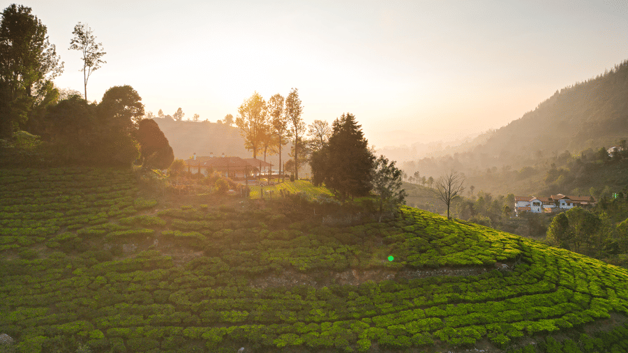 A mountain top surrounded by trees on all the sides with the Ibex Resorts, Coonoor (Leewood) positioned in the center.