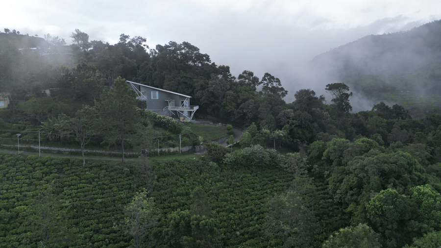 Aerial view of a triangular-roofed house surrounded by dense forest canopy at Ibex Resorts, Coonoor (Tapas).