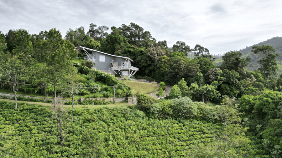 A triangular-roofed home nestled among thick forest, viewed from above at dusk at Ibex Resorts, Coonoor (Tapas).