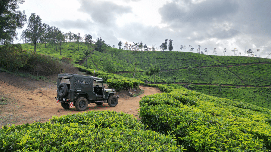 A motor vehicle sits on a dirt track. Plantations cover the hillsides that rise toward a sky with clouds.
