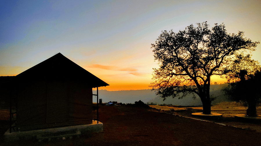 Let s Camp Tamia Standard Tent Sunrise