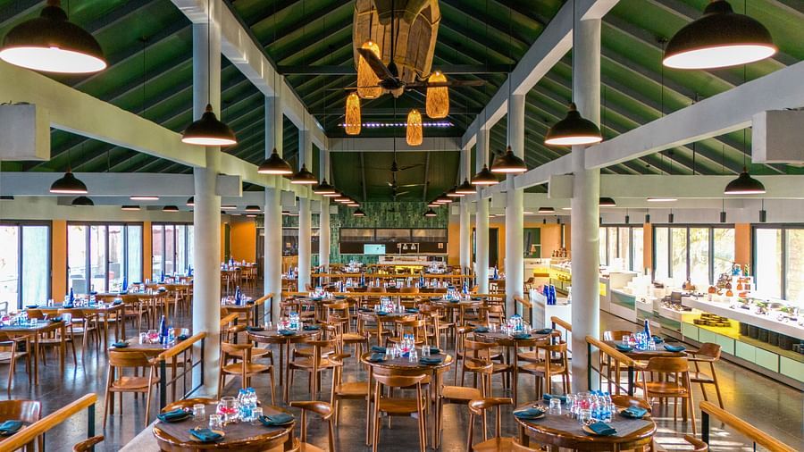Interior view of Song of the Sea restaurant with wooden seating and green ceiling.